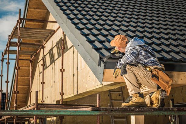 Best Sheet Metal Roofing  in Cary, IL