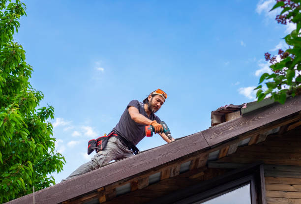 Best Storm Damage Roof Repair  in Cary, IL