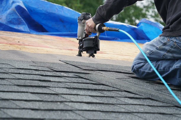 Best Chimney Flashing Repair  in Cary, IL